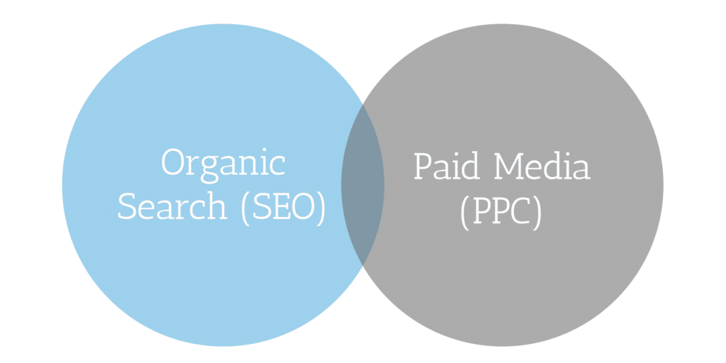 Medical Marketing SEO and Paid Media Medical Marketing SEO and Paid Media